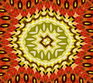 tribal-art-895454_640